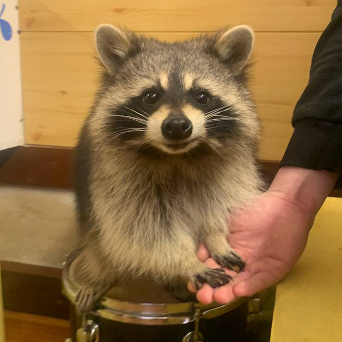 ТутЕнот. Изображение 3