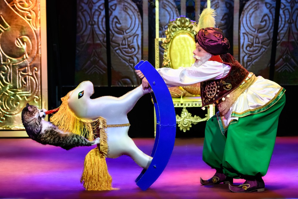 КОШКИ В ВОСТОЧНОЙ СКАЗКЕ. Изображение 4