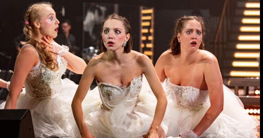 Бременские музыканты (Театр им. Моссовета). Изображение 3