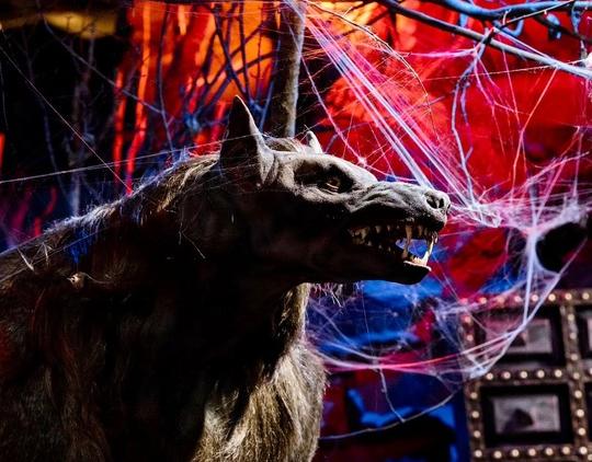 Музей криптозоологии «Бестиарий». Изображение 6