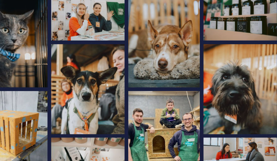 Фестиваль «Пушистое Событие». Изображение 1