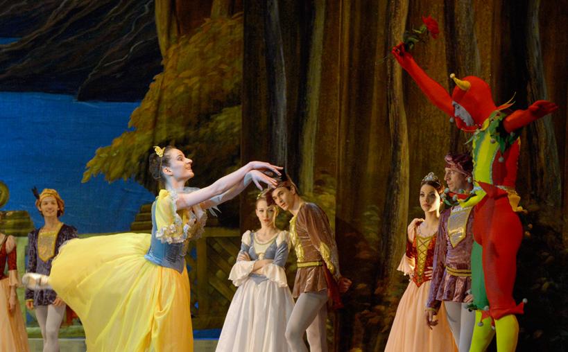 Лебединое озеро (на сцене ЦКИ «Меридиан»). Изображение 2