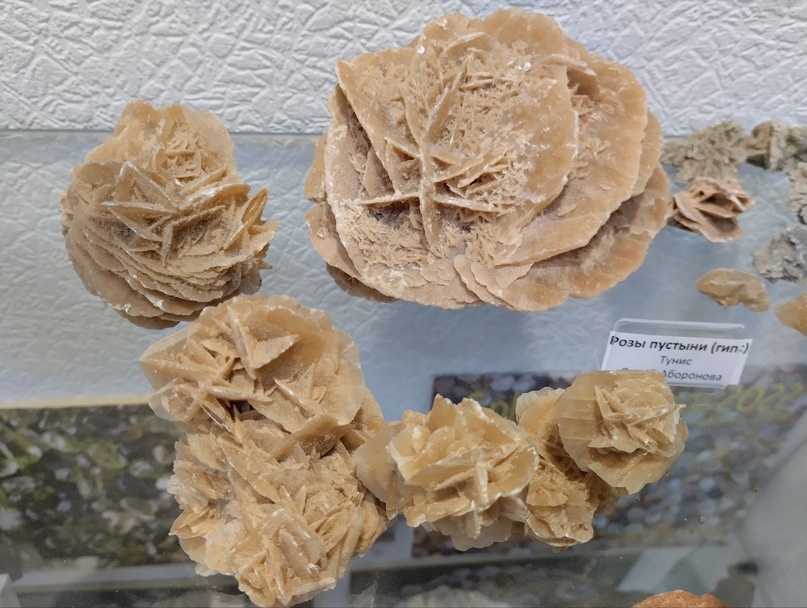 Музей Песка. Изображение 7