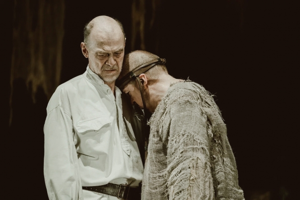 История лошади. Изображение 6