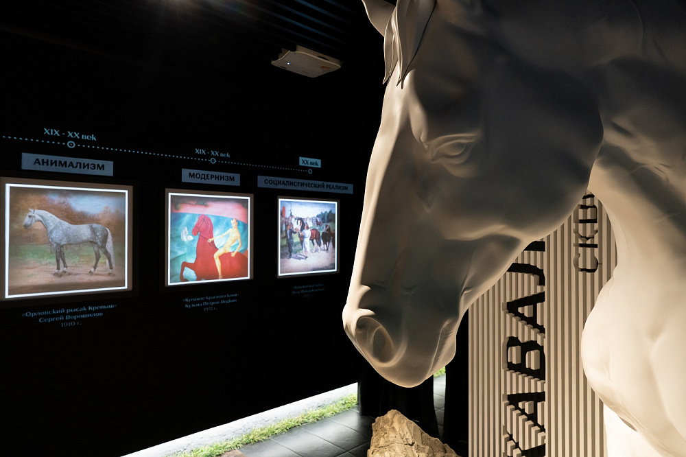 Музей лошади и Конный театр. Изображение 1