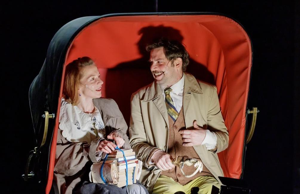 Мадам Бовари. Изображение 9