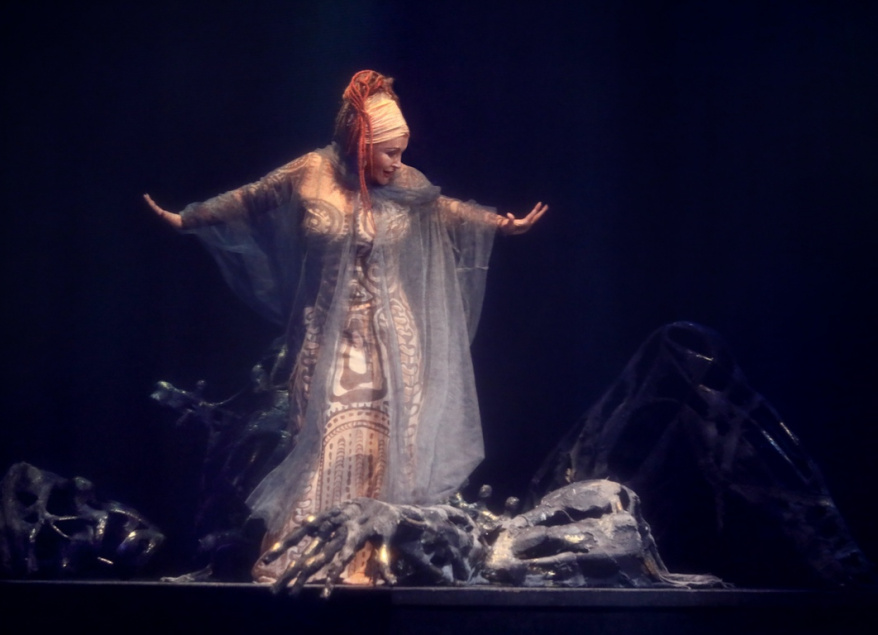 Аида (Геликон–Опера). Изображение 4