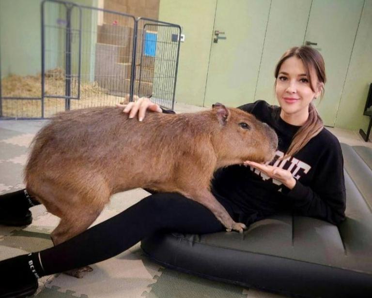 Антикафе «Cafebara». Изображение 7