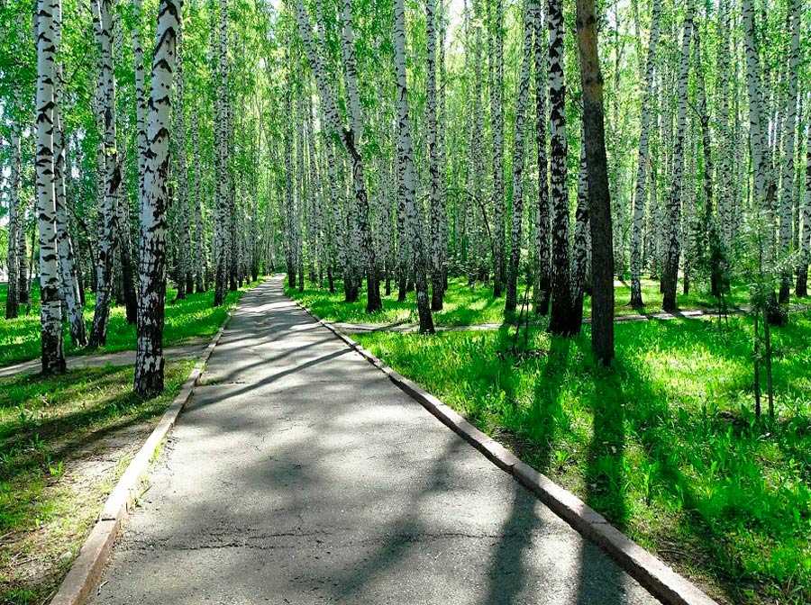 Парк "Березовая Роща". Изображение 3