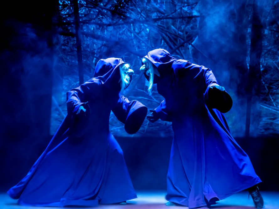 КОШКИ В ВОСТОЧНОЙ СКАЗКЕ. Изображение 6