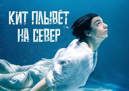 Кит плывет на север. Изображение 1