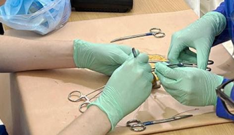 Школа хирурга. Изображение 1