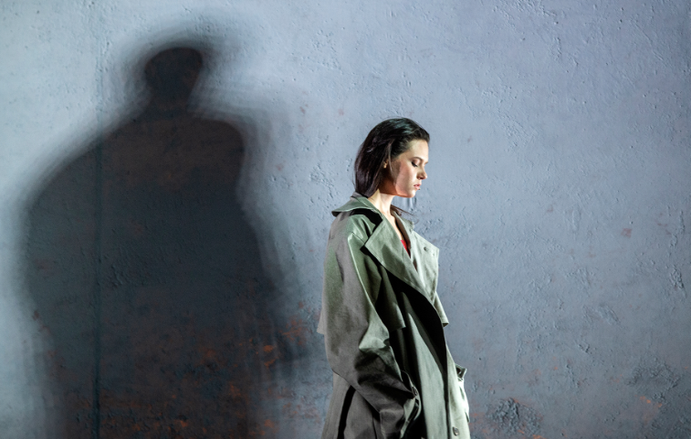 Бесприданница (Театр им. Моссовета). Изображение 2