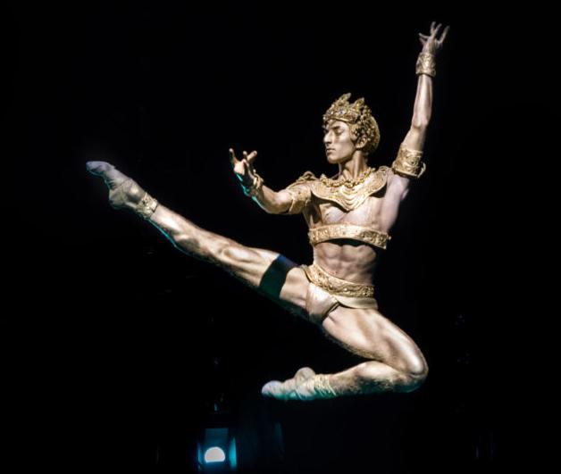 БАЯДЕРКА (МАМТ). Изображение 5