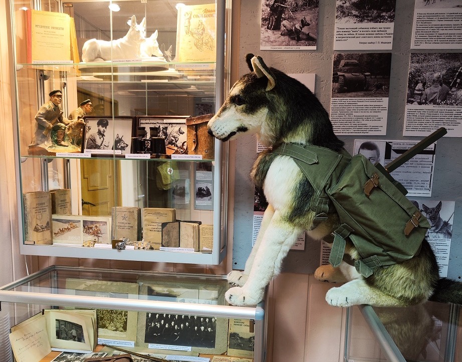 Музей собаки. Изображение 2