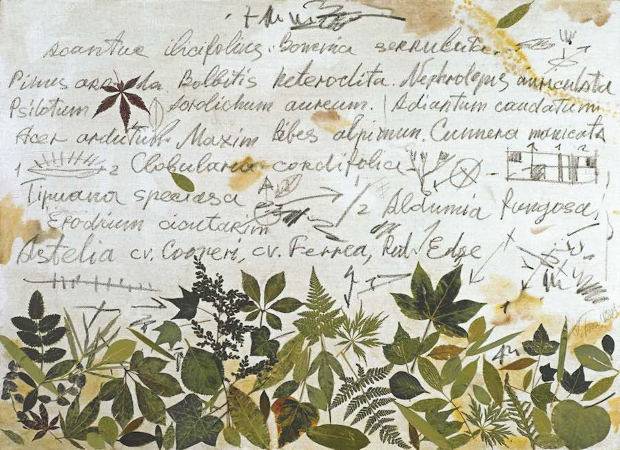 Буквальные связи. Изображение 5