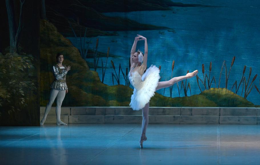 Лебединое озеро (на сцене ЦКИ «Меридиан»). Изображение 4