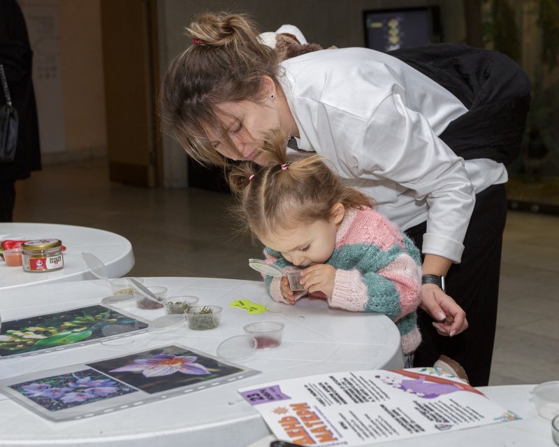 День Матери в Дарвиновском музее. Изображение 1