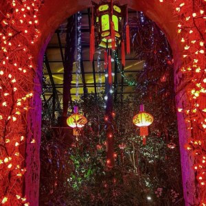 Фестиваль Китайского Нового года. Изображение 1