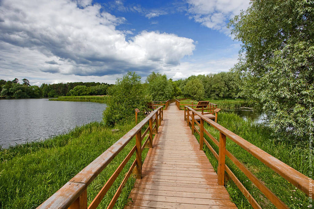 Лесопарк Серебряный бор. Изображение 9