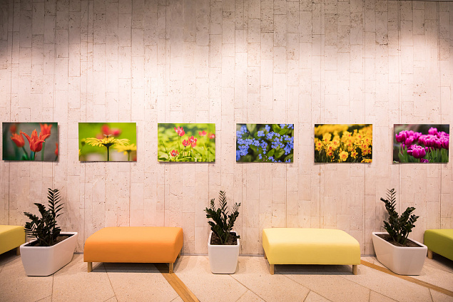 Павильон «Цветоводство и озеленение». Изображение 5