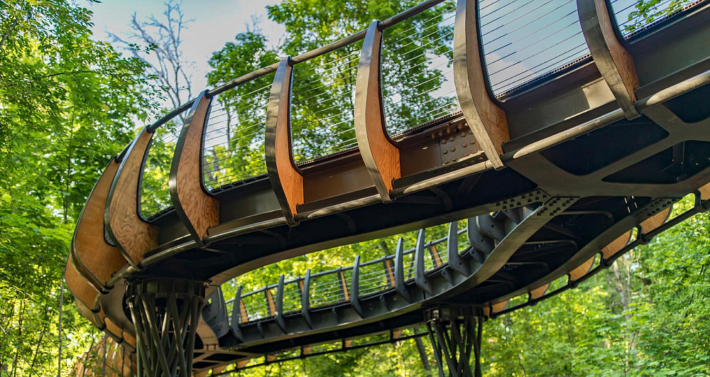 Воздушная экотропа на ВДНХ. Изображение 3