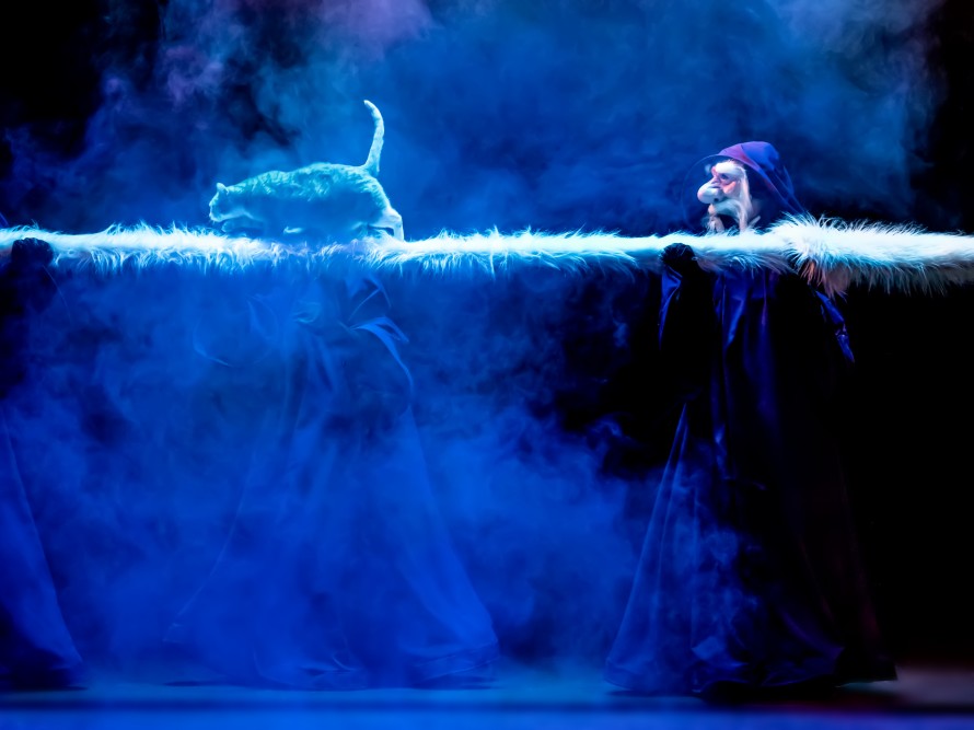 КОШКИ В ВОСТОЧНОЙ СКАЗКЕ. Изображение 2