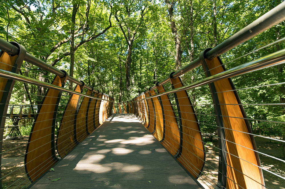 Воздушная экотропа на ВДНХ. Изображение 5