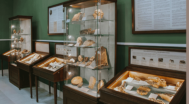 Геологический музей им. Вернадского. Изображение 7