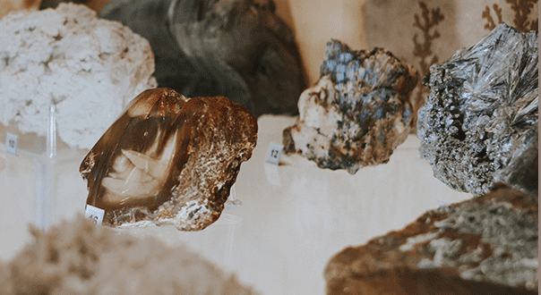 Геологический музей им. Вернадского. Изображение 5