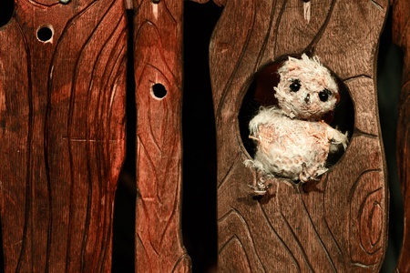 Цыпленок (Концертный зал "Филармония 2"). Изображение 4