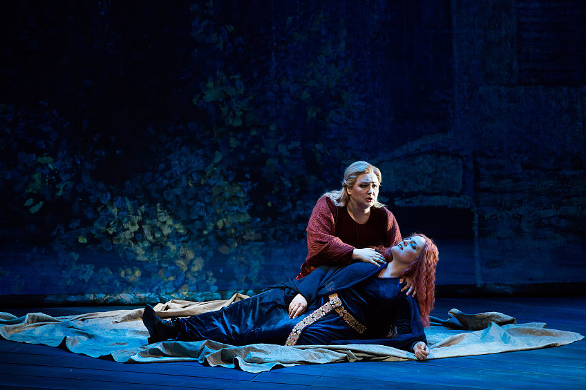 Тристан и Изольда. Изображение 13