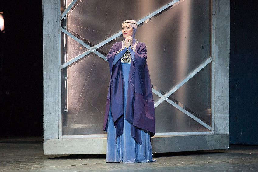 Трубадур. Изображение 1