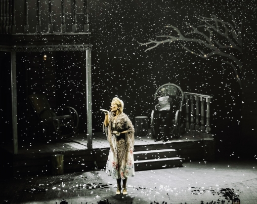 Душечка. Изображение 9