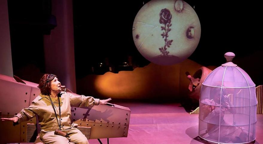 Маленький принц. Полёт в одном действии. Изображение 2