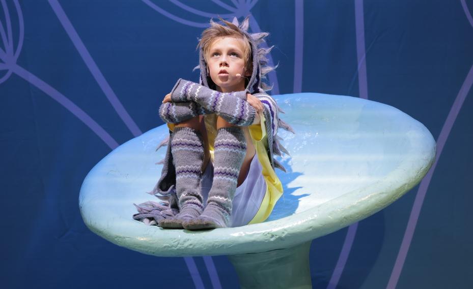 Не Ёжик. Изображение 3