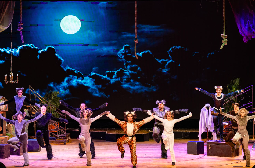 МЮЗИКЛ НА ЧЕРДАКЕ (Театр "Поколение"). Изображение 1