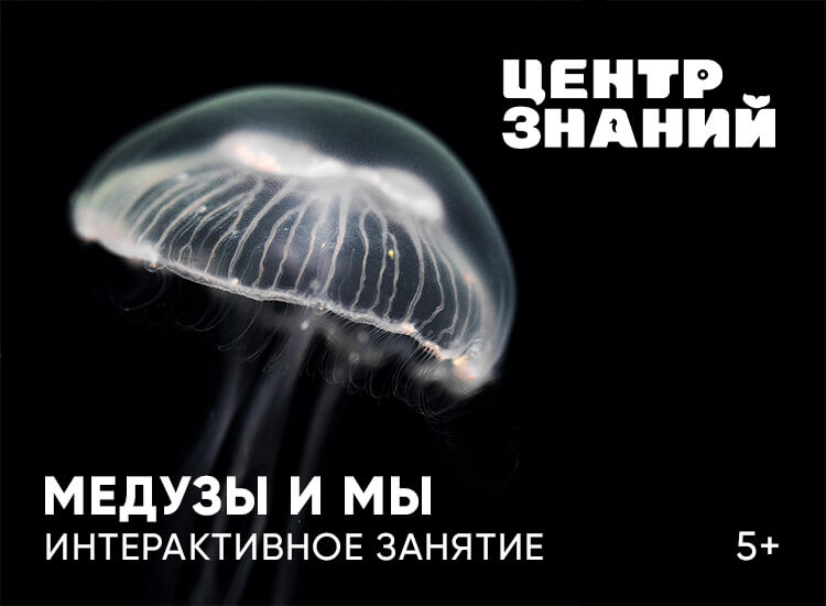 Занятия в Центре знаний Москвариума. Изображение 6