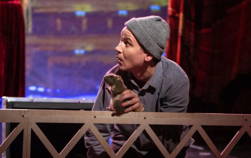 Тео – театральный капитан. Изображение 4