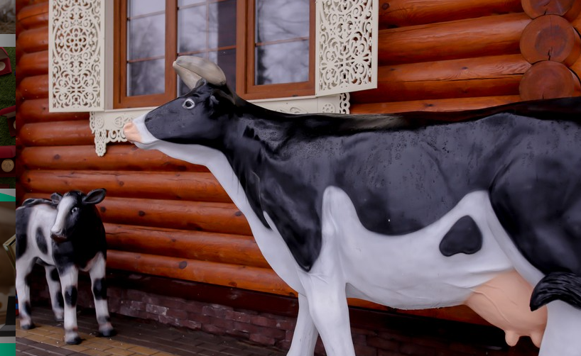 Музей истории молока и глазированного сырка. Изображение 1