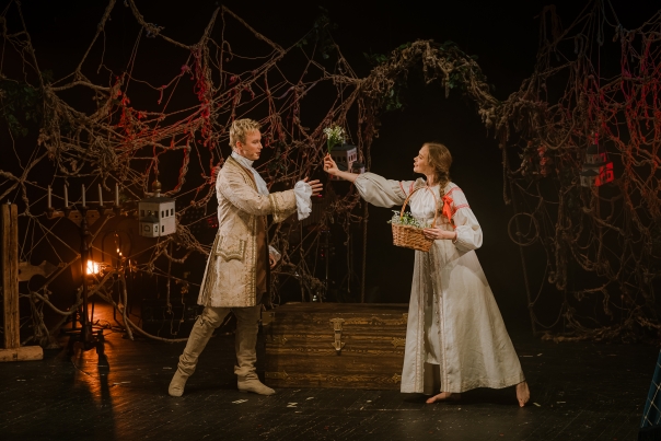 Бедная Лиза. Изображение 8