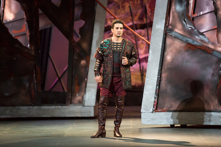 Трубадур. Изображение 5