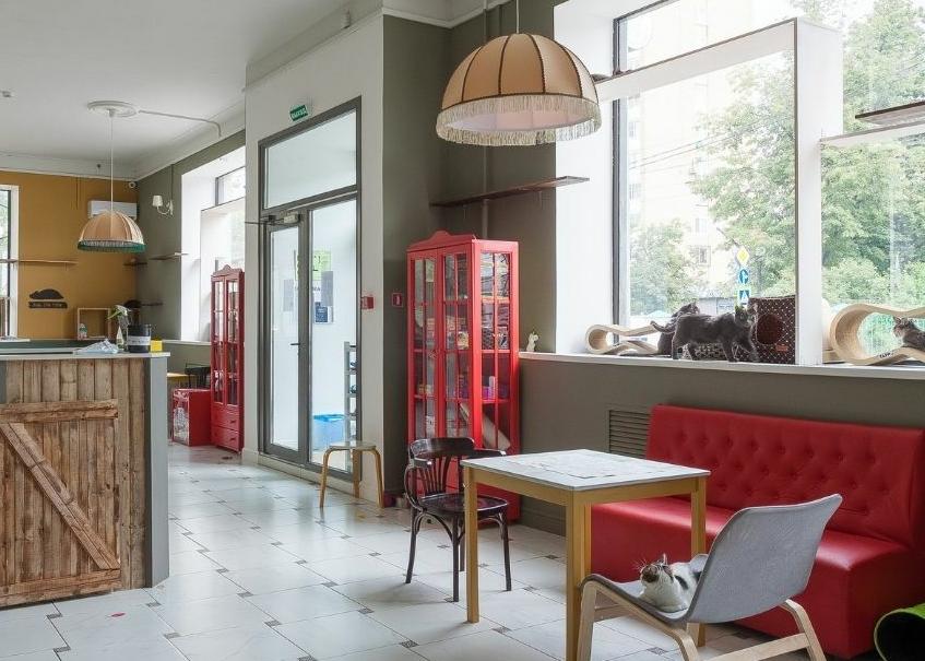 Котокафе "Котеешная №1". Изображение 2