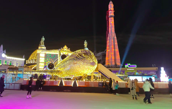 Каток на ВДНХ. Изображение 3