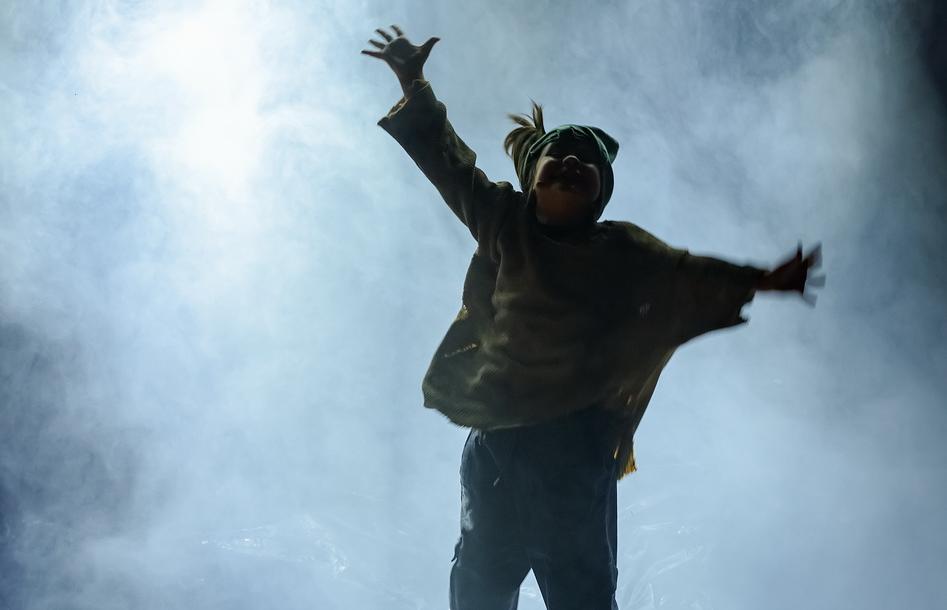 Собаки (ДМТЮА). Изображение 2