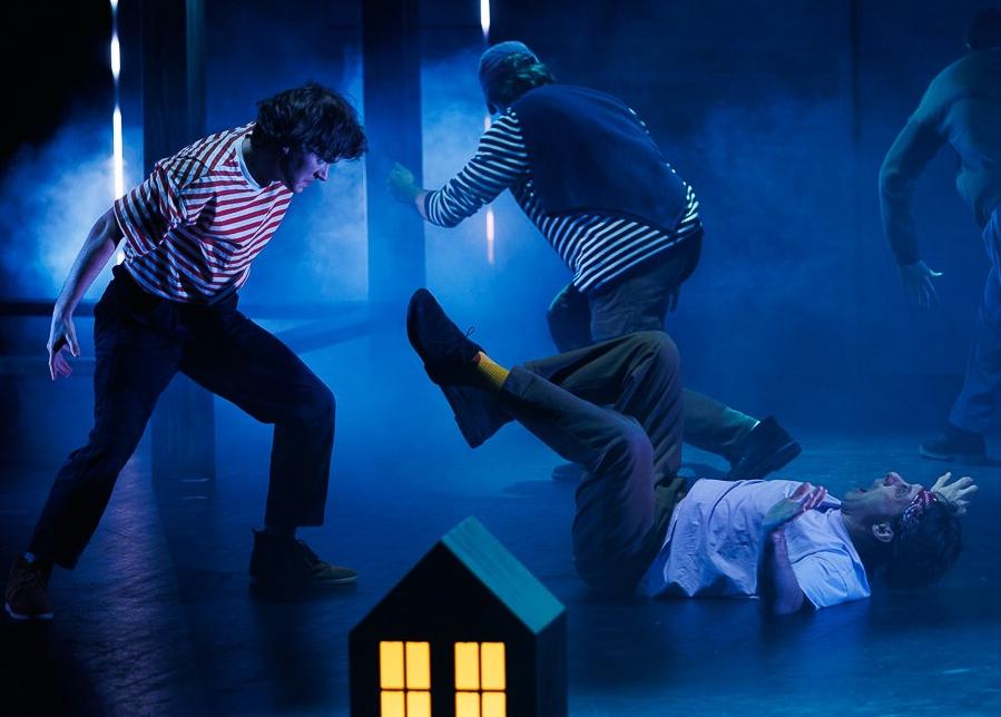 Калле Блюмквист - суперсыщик!. Изображение 9