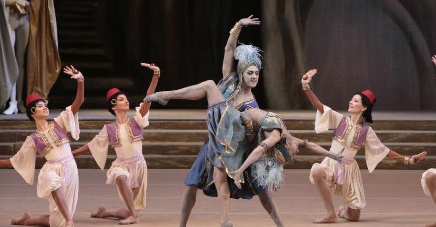 Раймонда. Изображение 2