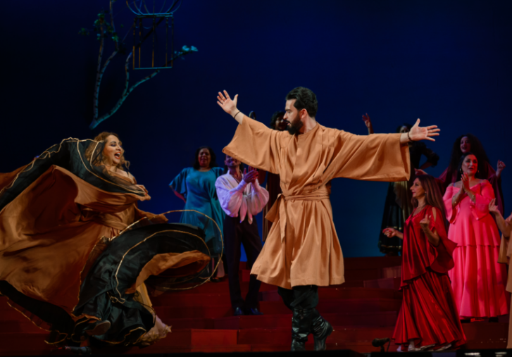 Мы – цыгане. Изображение 8