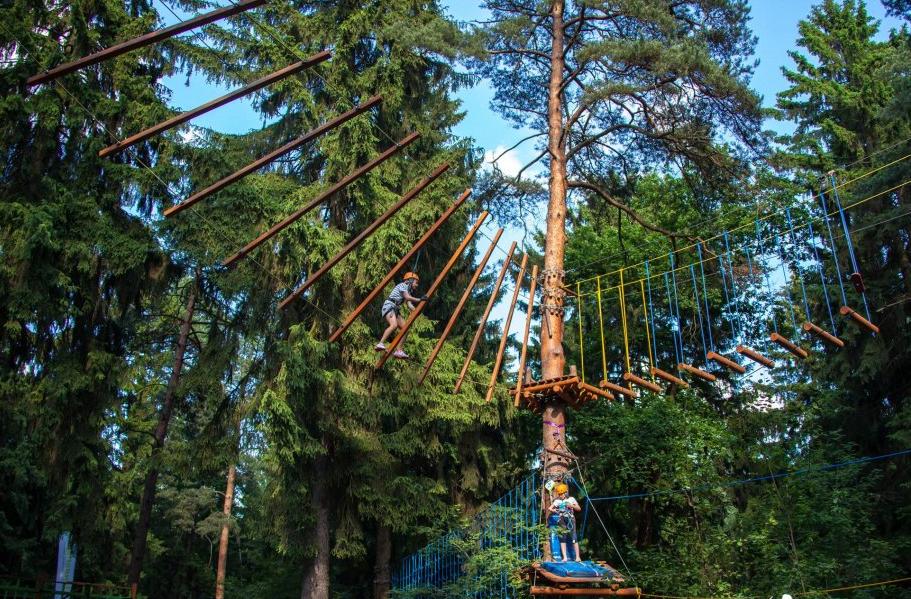 Мещерский парк. Изображение 13