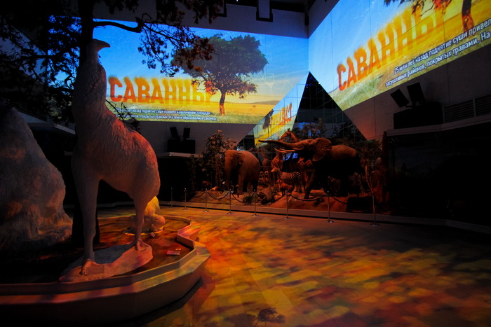 Живая планета. Изображение 4